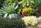 St James NSWplanting-garden-and-landscape-design-24.jpg; ?>