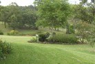 St James NSWplanting-garden-and-landscape-design-51.jpg; ?>